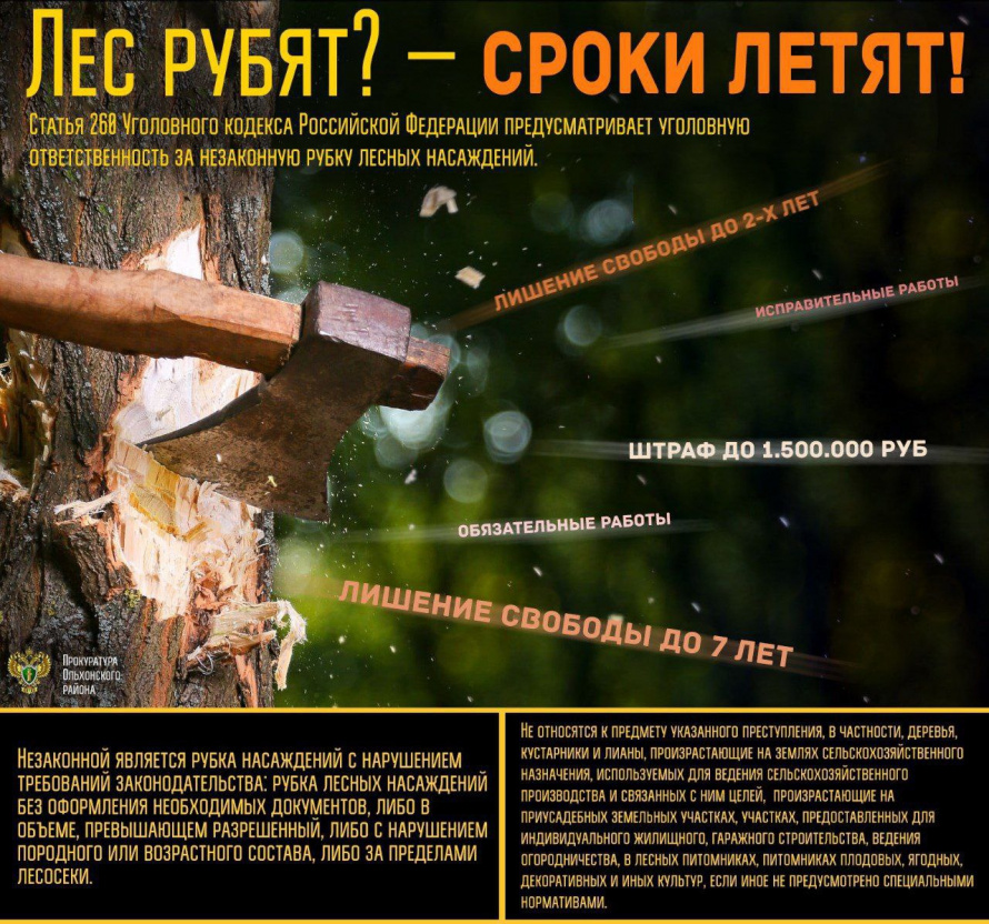 Лес рубят? - сроки летят!