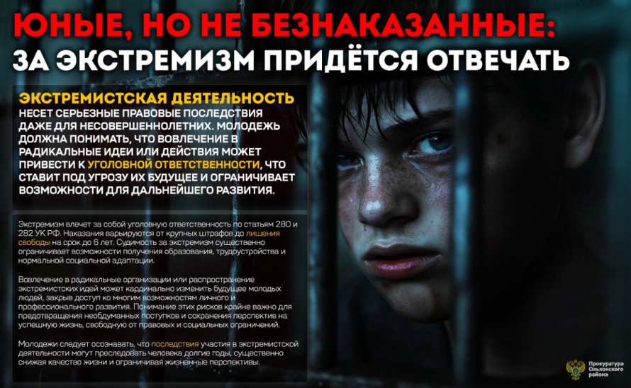 Юные, но не безнаказанные: за экстремизм придётся отвечать