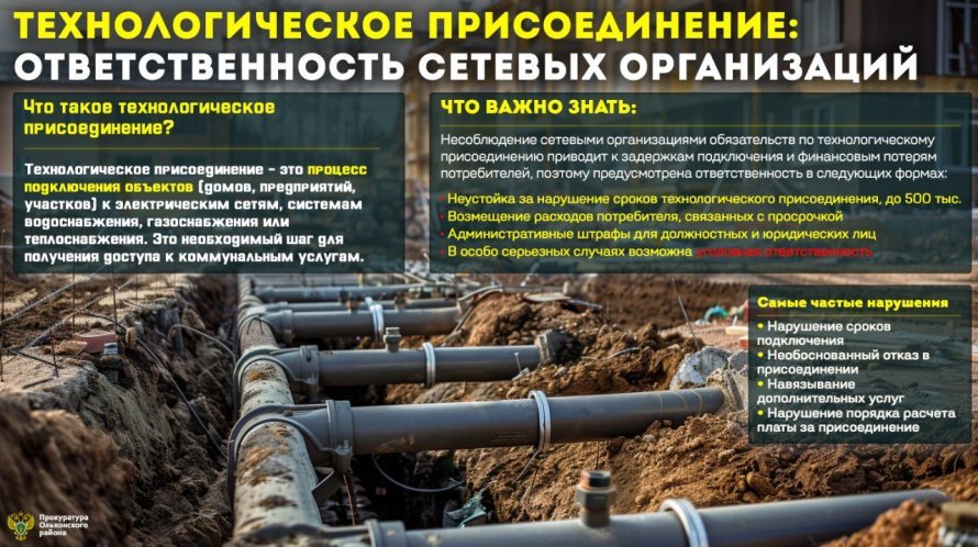 Технологическое присоединение: ответсвенность сетевых организаций